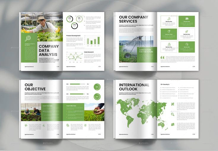 Mẫu in profile công ty chuyên nghiệp, giá rẻ, lấy ngay tại Hải Phòng